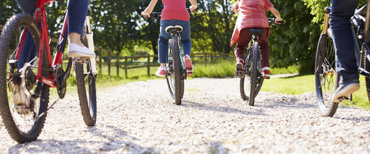 Picture of a family on their bikes